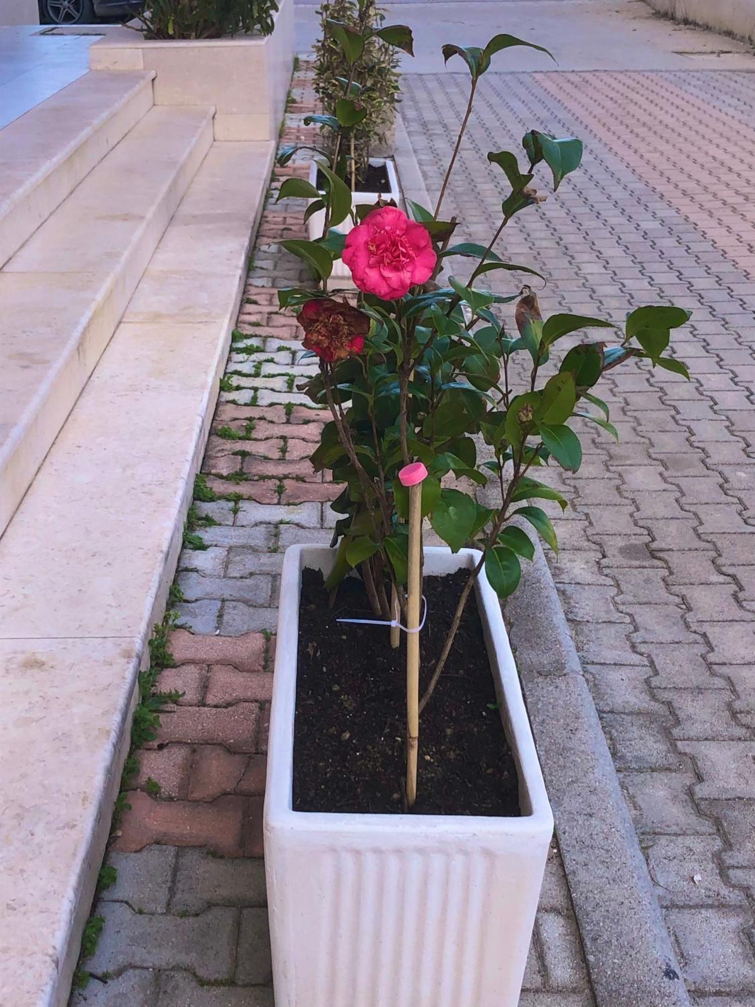 Vlore Apartment Bagian luar foto